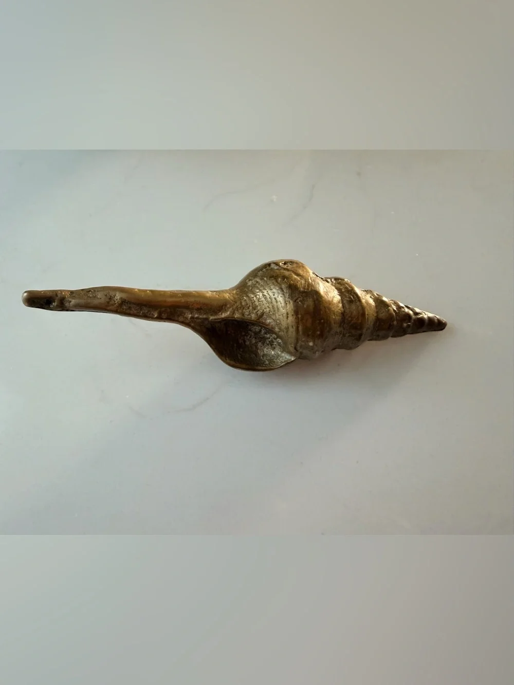 Brass Cottage Core Decorative Shell Home Accent